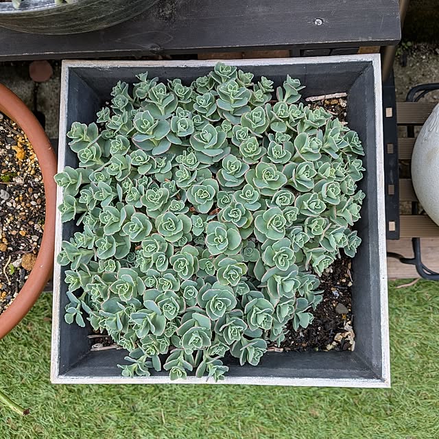 Renさんの実例写真