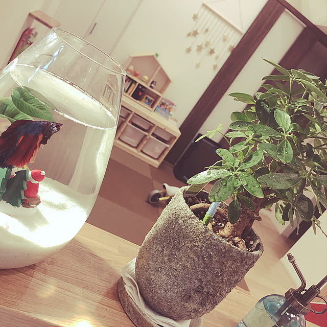 makotoさんの実例写真