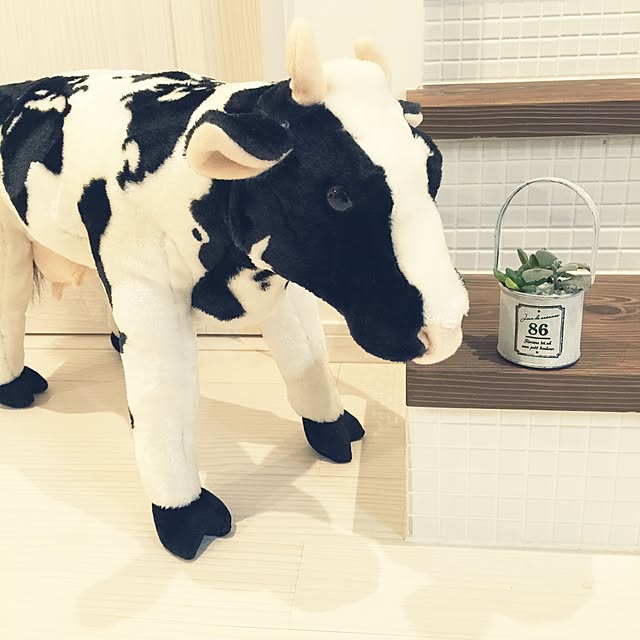 natsuさんの実例写真