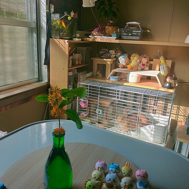 yk143さんの実例写真