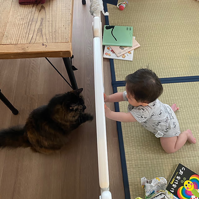 mikomaruさんの実例写真