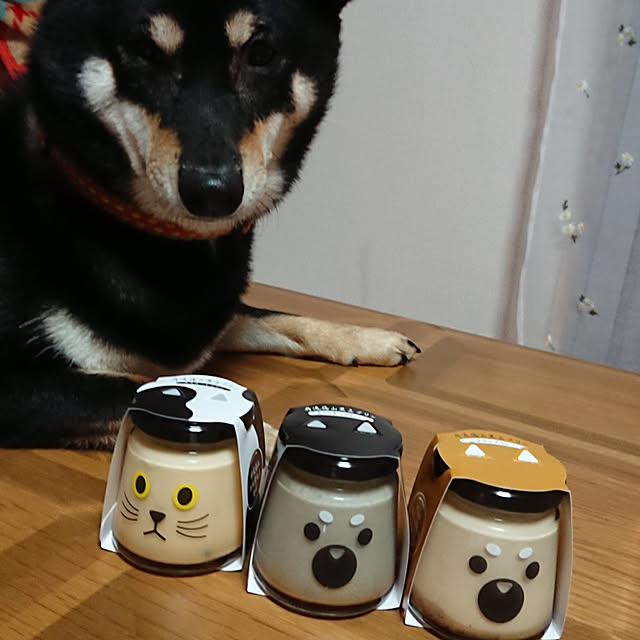 xxxakyxxxさんの実例写真