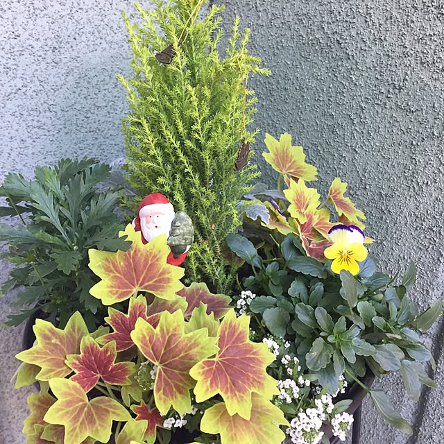 arinkoさんの実例写真