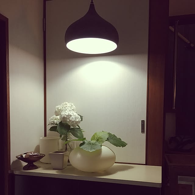 aninさんの実例写真