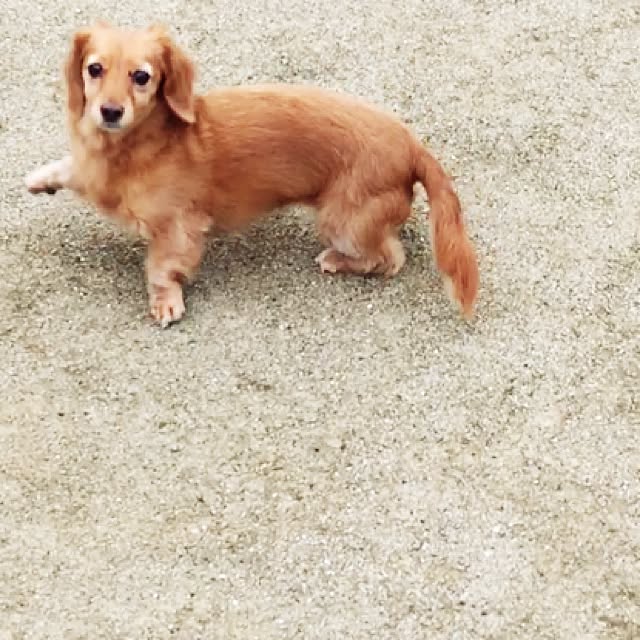 sakuさんの実例写真