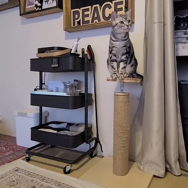lovepeaceさんの実例写真