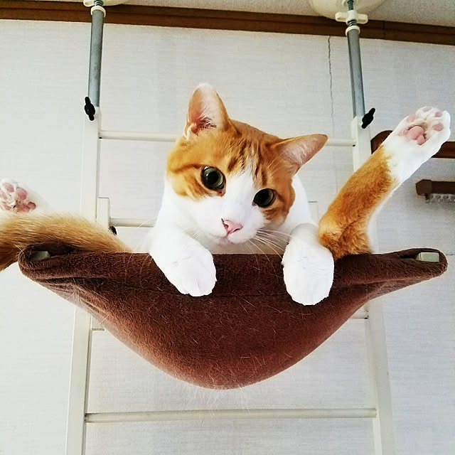 Kinanさんの実例写真