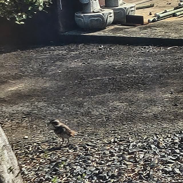 Rubiconさんの部屋