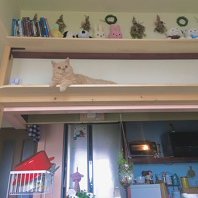 naokoさんの実例写真
