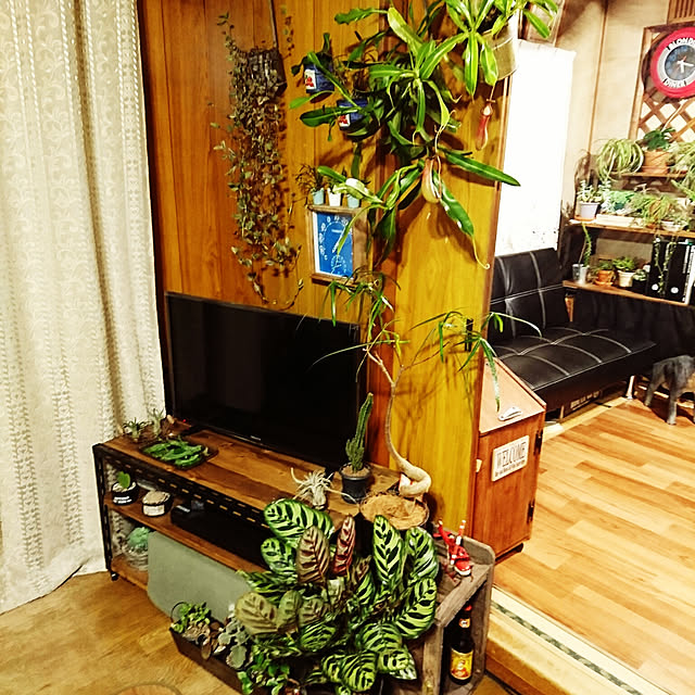 kuniyaanさんの実例写真