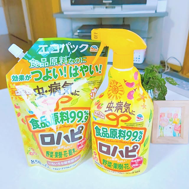 mariaさんの実例写真
