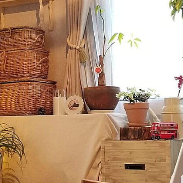 midoriさんの部屋