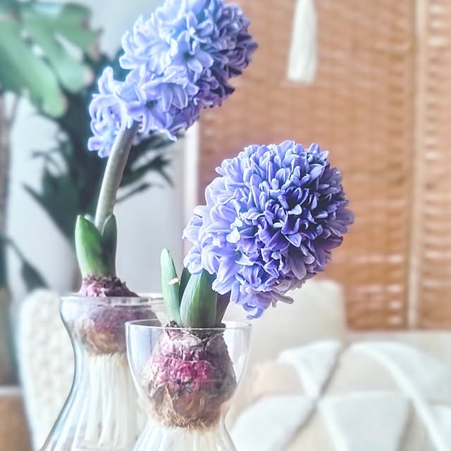 YuriYuriさんの部屋