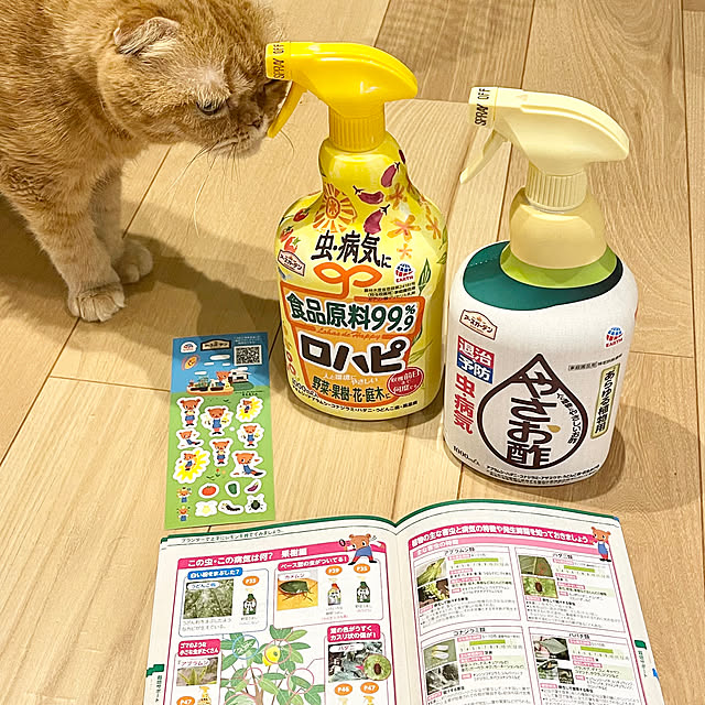 hm_myhomeさんの部屋