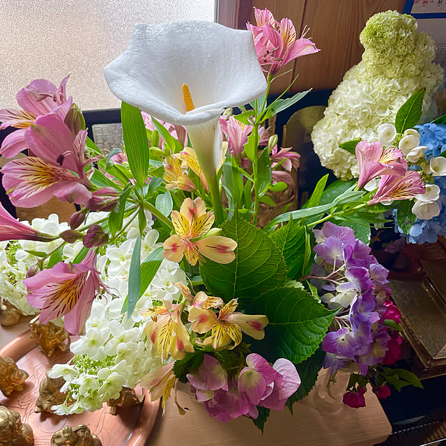 Shinさんの実例写真