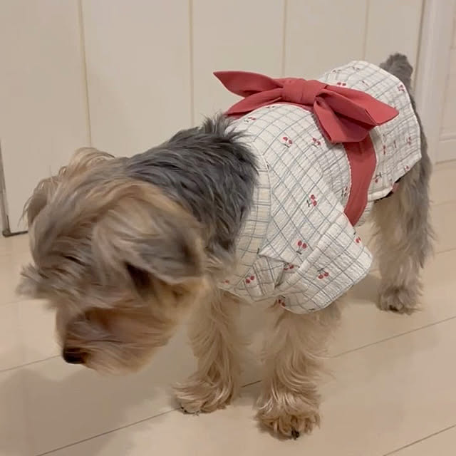 msさんの部屋