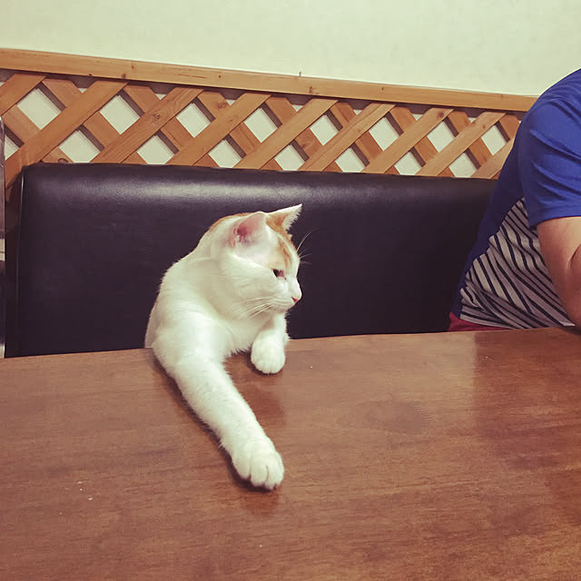 emiさんの実例写真