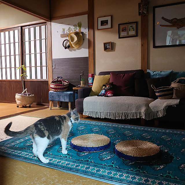 fukuさんの実例写真