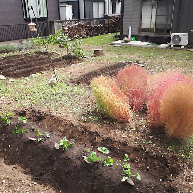 玄関/入り口/にわのある暮らし/畑のある暮らし/野菜畑/イチゴ畑...などのインテリア実例 - 2021-10-12 07:00:08