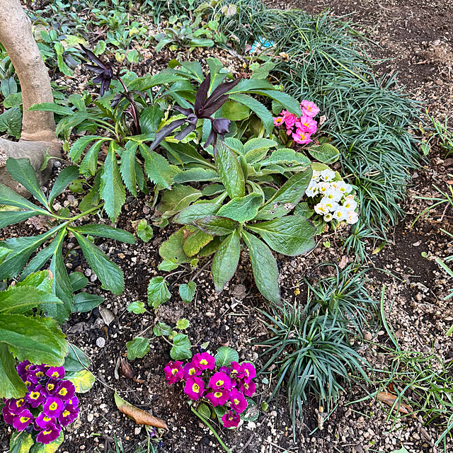 mamizaさんの部屋