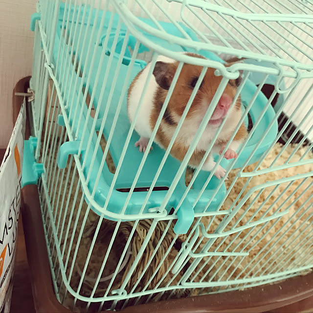 natsuさんの実例写真