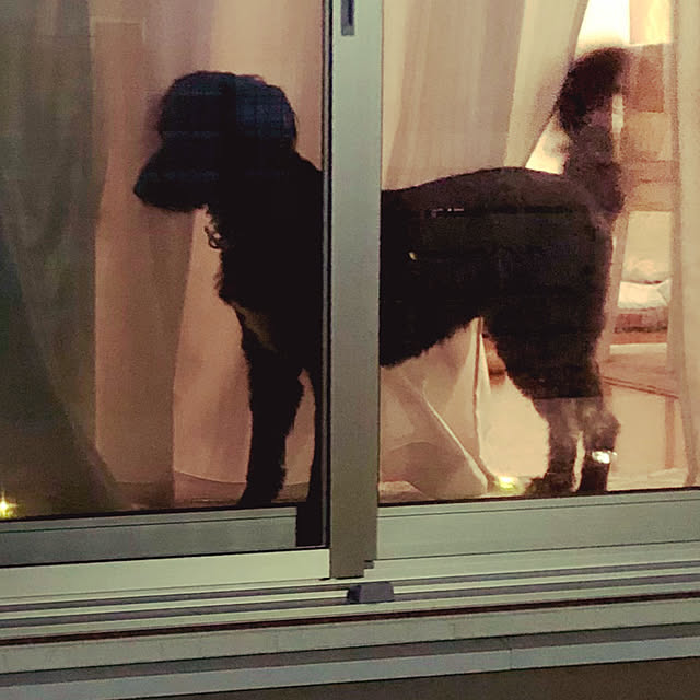 tomoさんの部屋