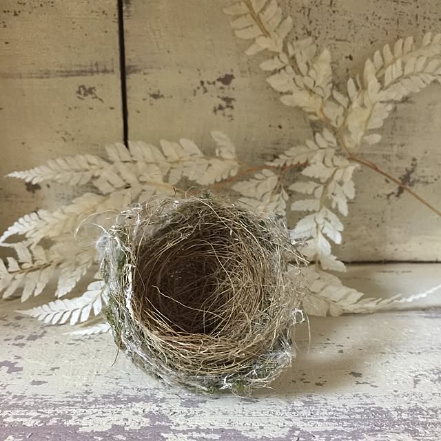 ChouchouLejardinさんの実例写真