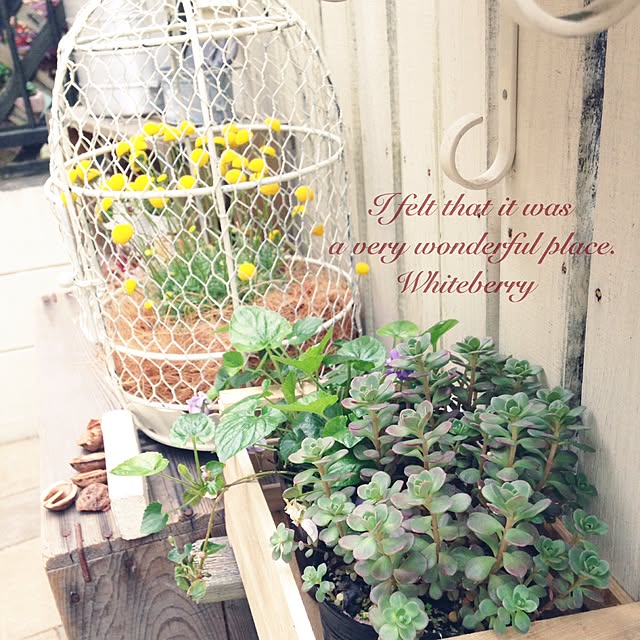 Whiteberryさんの実例写真