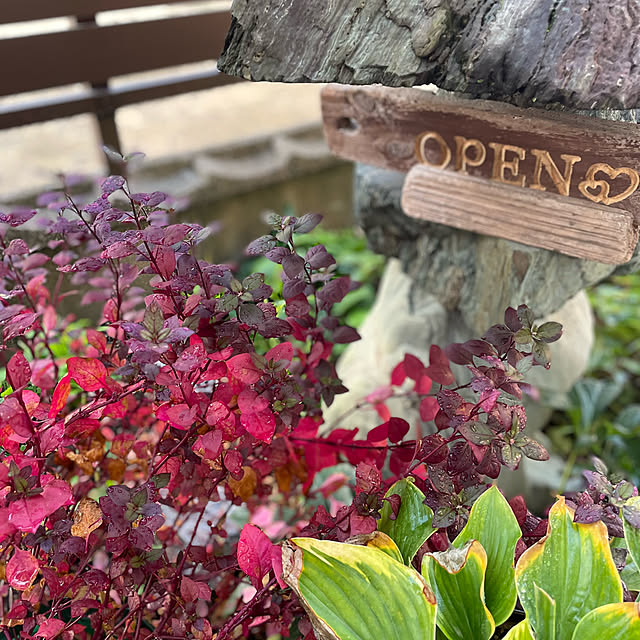 buchiさんの部屋