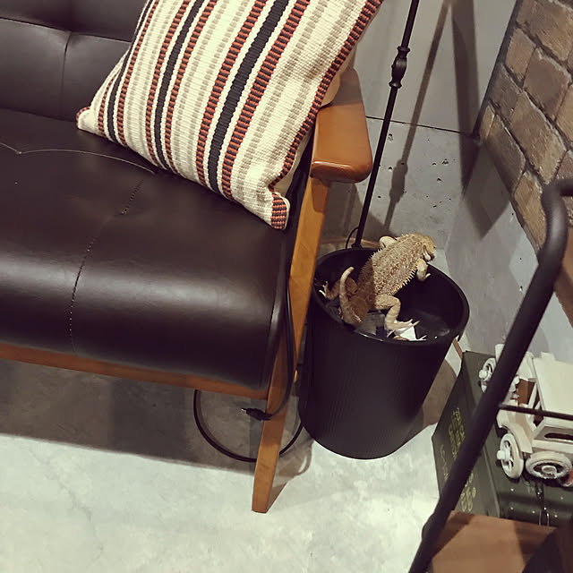 japitonさんの実例写真