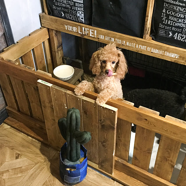 natulove0418さんの実例写真