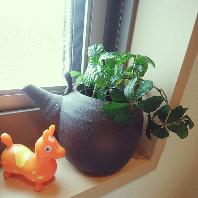 バス/トイレ/観葉植物/夫婦二人暮らしのインテリア実例 - 2019-03-19 09:32:21