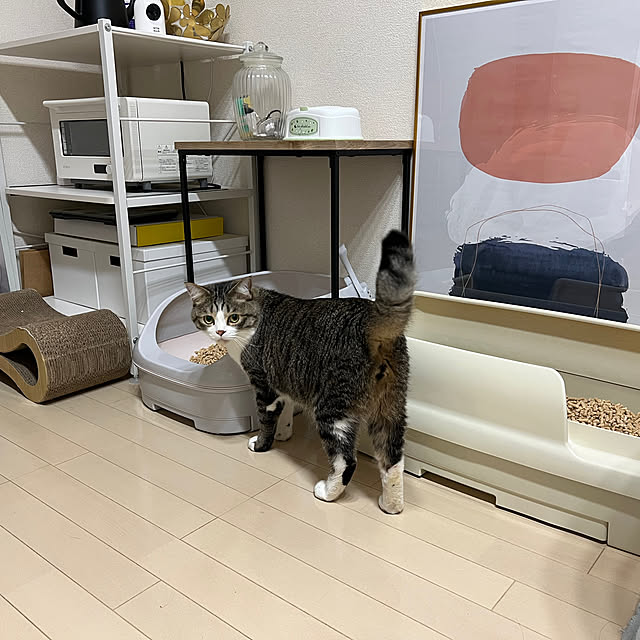 odashiさんの実例写真
