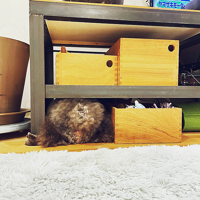 Shokanさんの実例写真