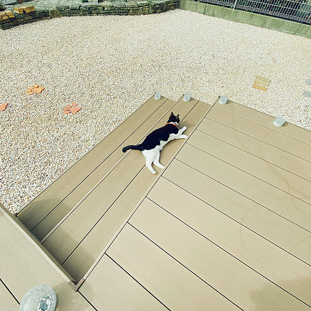 moolさんの実例写真