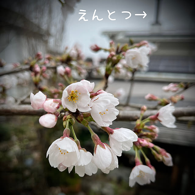 marusanさんの部屋