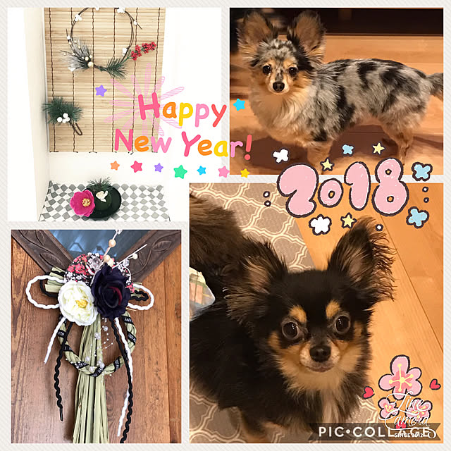 yuriさんの実例写真