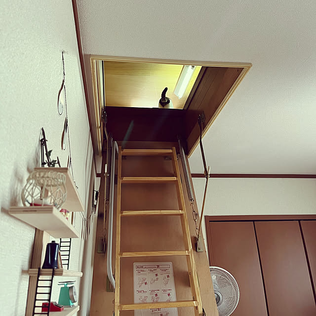 Lufuさんの部屋