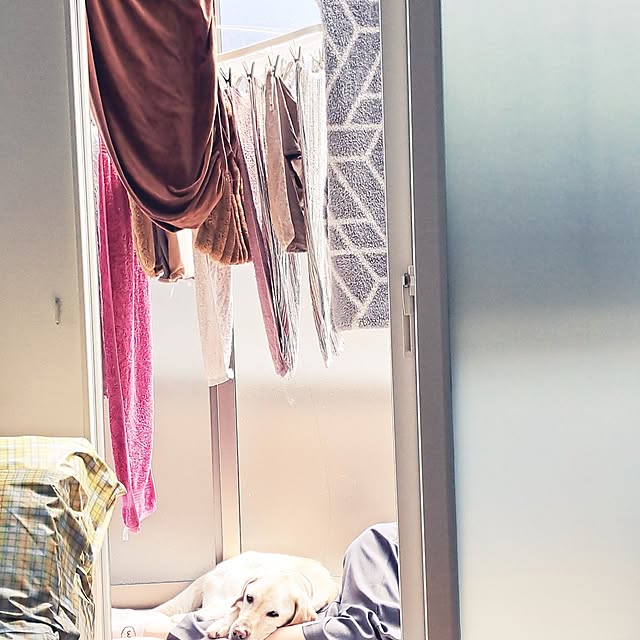 mihiroさんの部屋