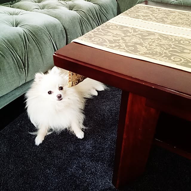 Amyさんの実例写真