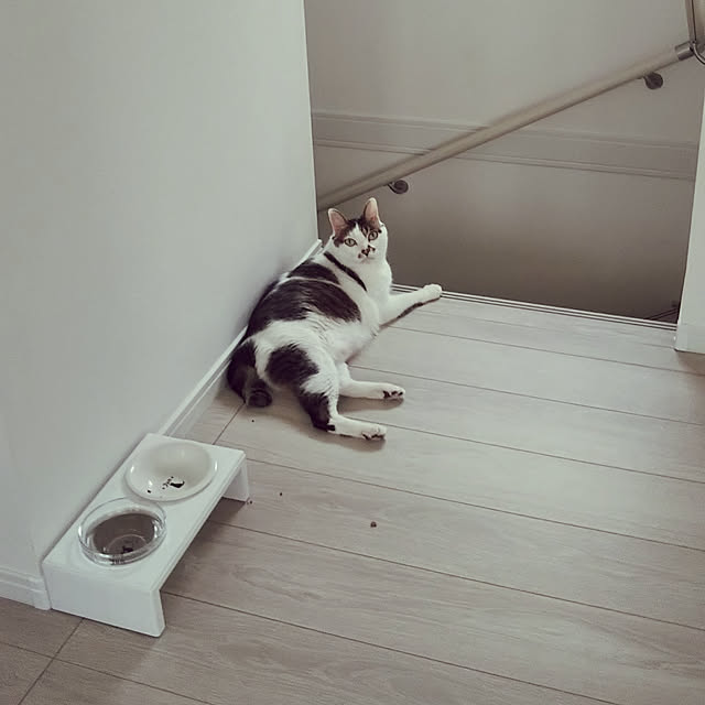 Sakasanさんの実例写真