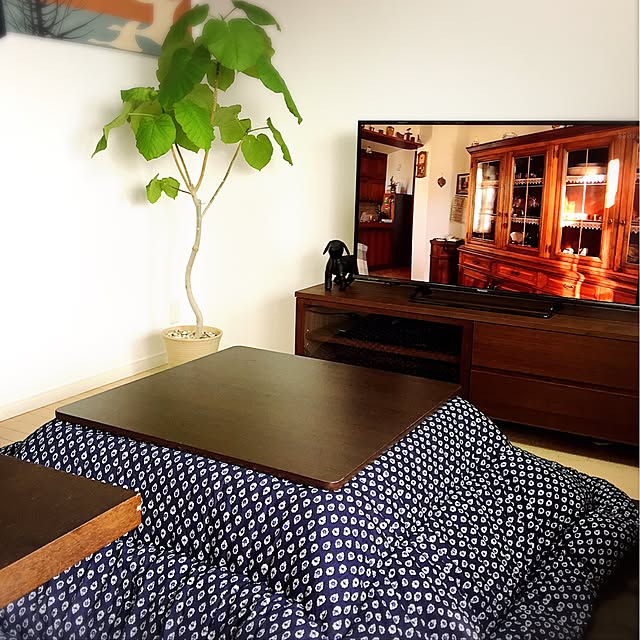 ranrin7939さんの実例写真