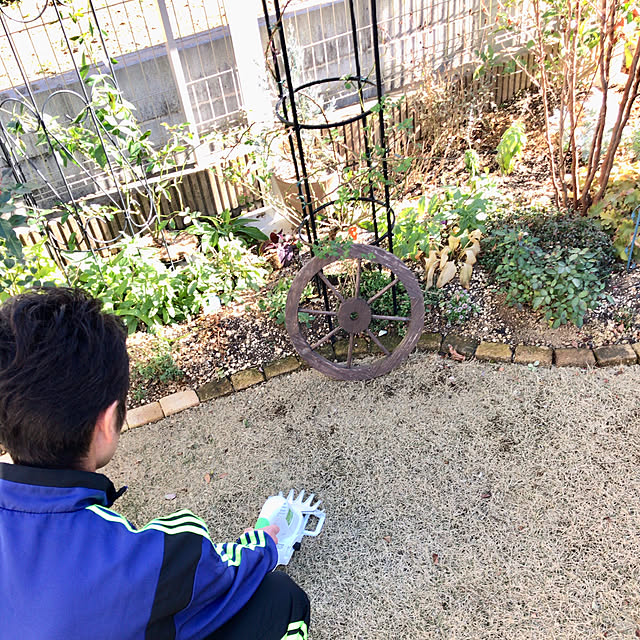 sugarcookieさんの実例写真