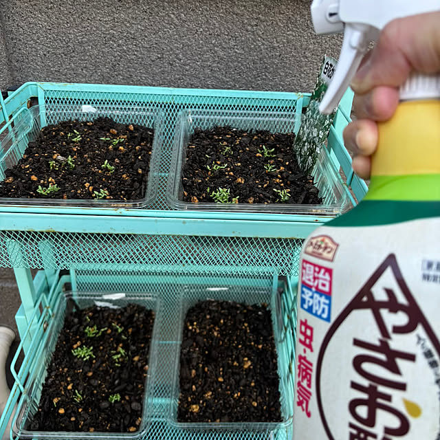 momocchiさんの部屋