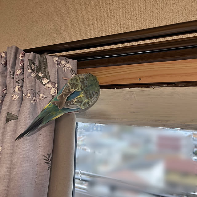 Atsukoさんの部屋