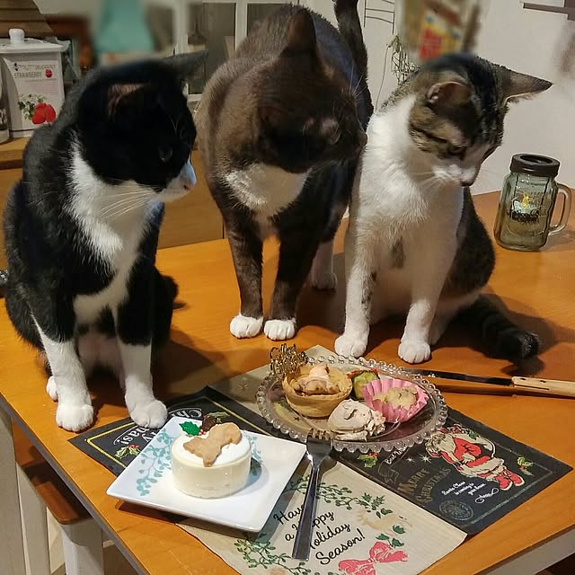 Gomaさんの実例写真