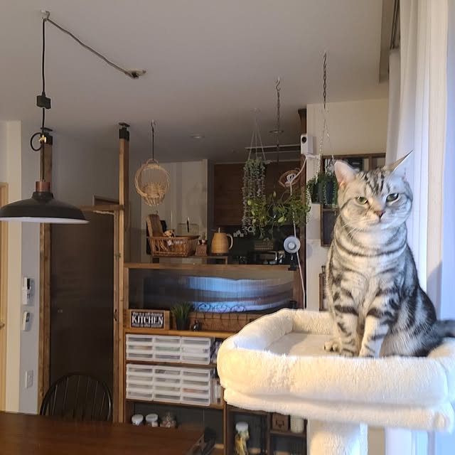 lovepeaceさんの部屋