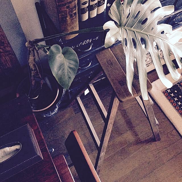 Naoki.さんの実例写真