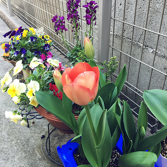Maryさんの実例写真