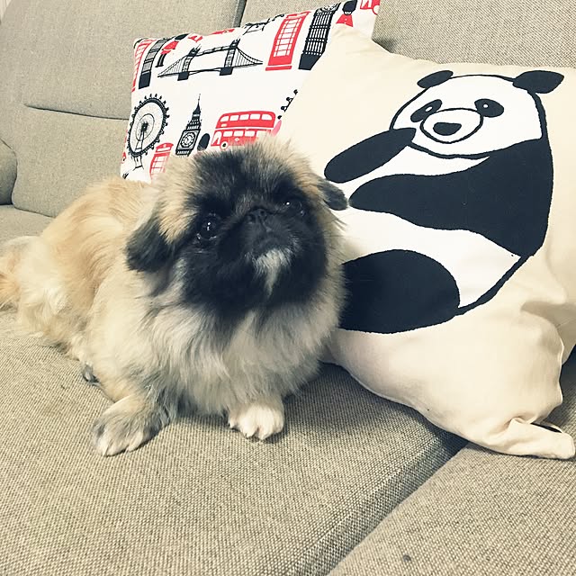 tmrarsさんの実例写真